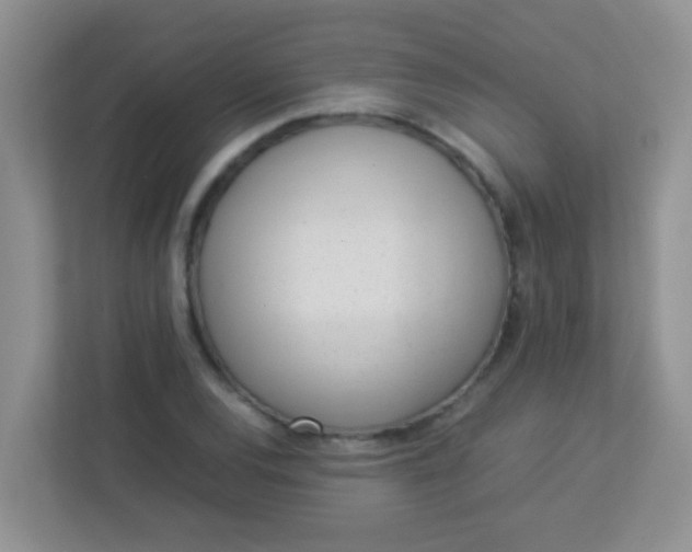 X0000113331120200909281222