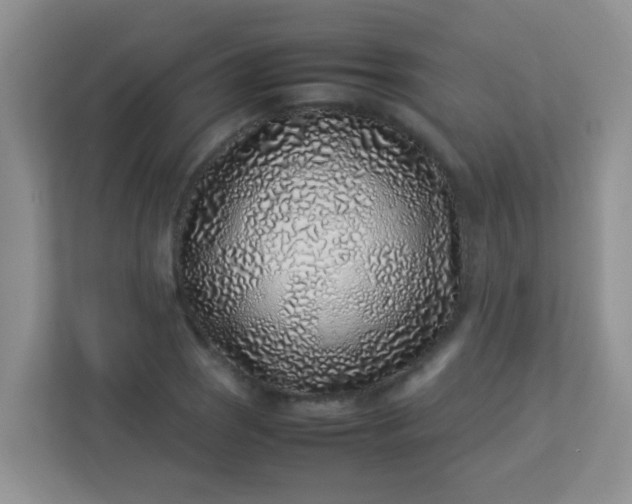 X0000113331121200909281222