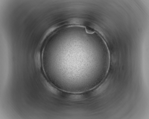 X0000113331123200909281222