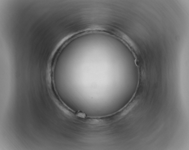 X0000113331124200909281222