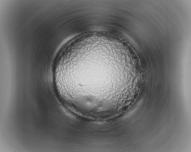 X0000113331125200909281222