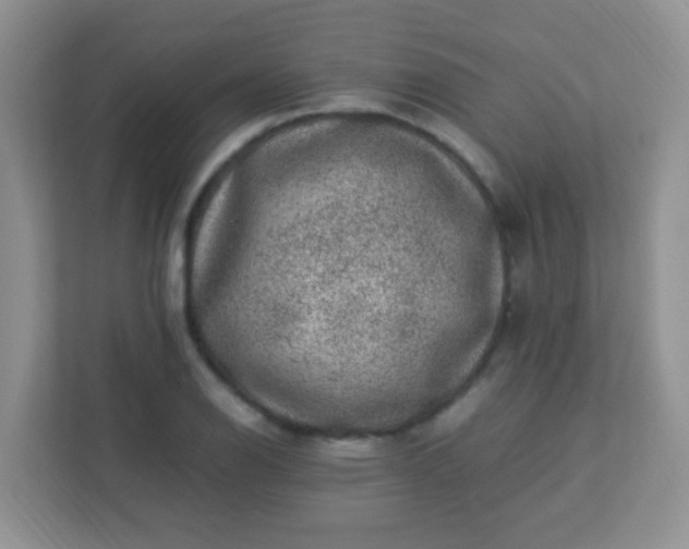 X0000113331126200909281222