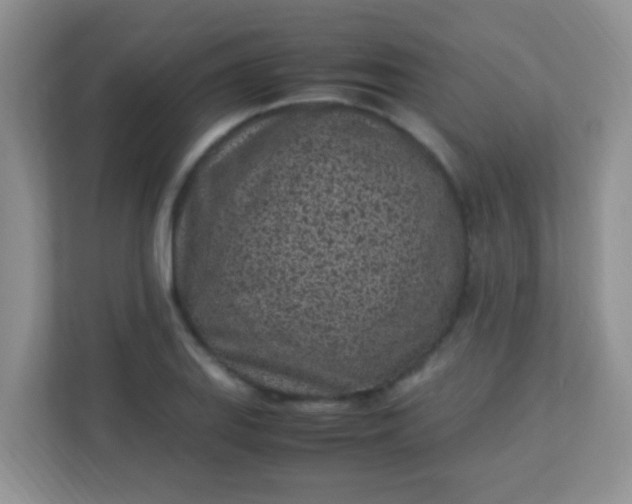 X0000113331127200909281222