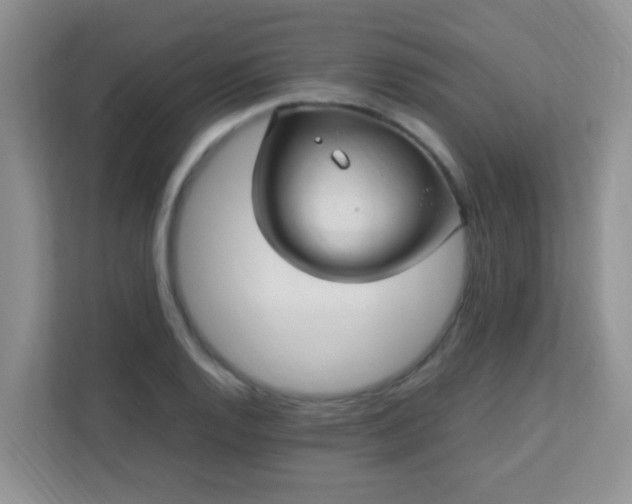 X0000113331128200909281222