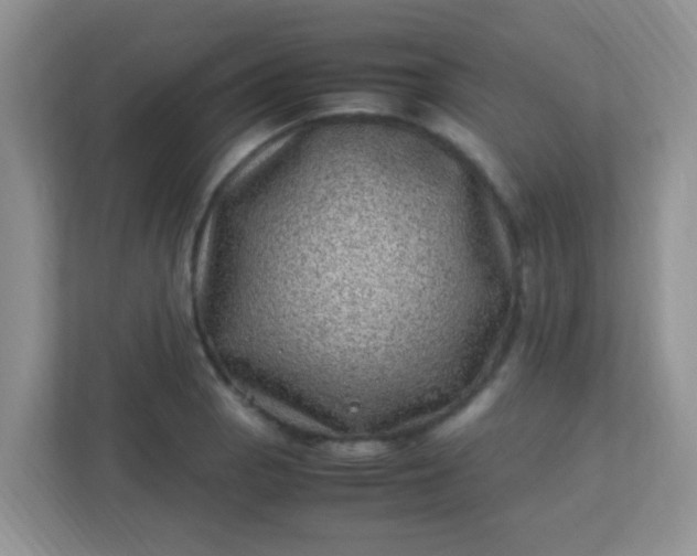 X0000113331129200909281222