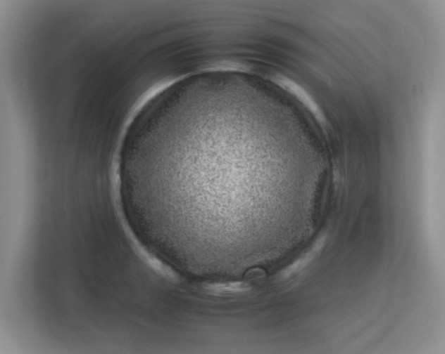 X0000113331133200909281222