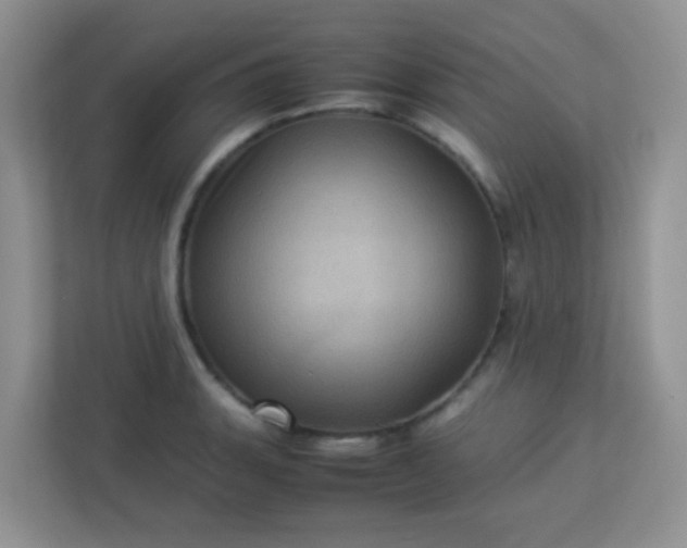 X0000113331135200909281222