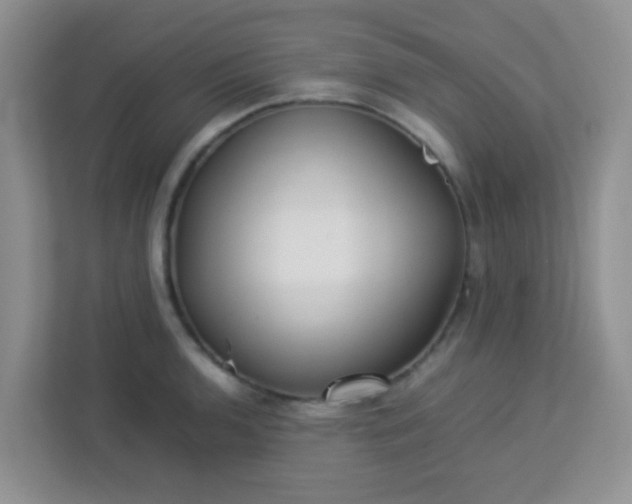 X0000113331136200909281222