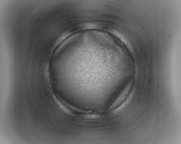 X0000113331137200909281222