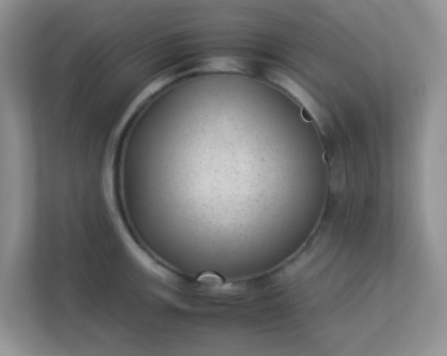 X0000113331139200909281222