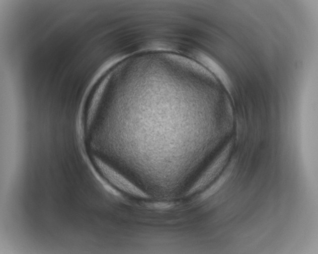X0000113331141200909281222