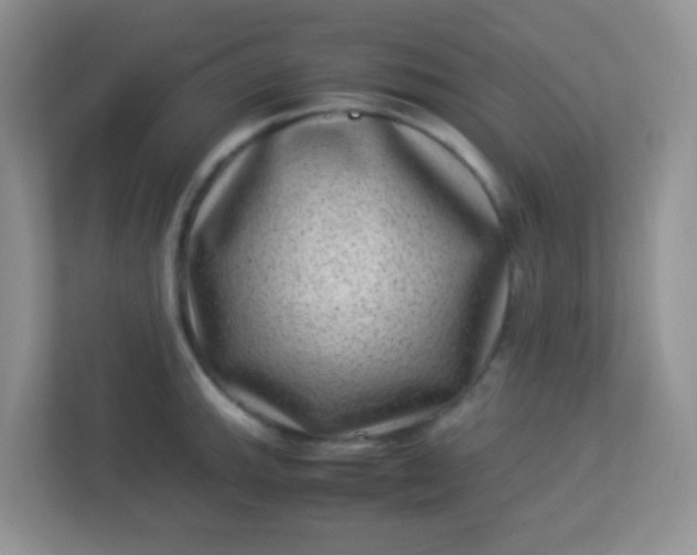 X0000113331143200909281222
