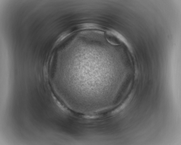 X0000113331145200909281222