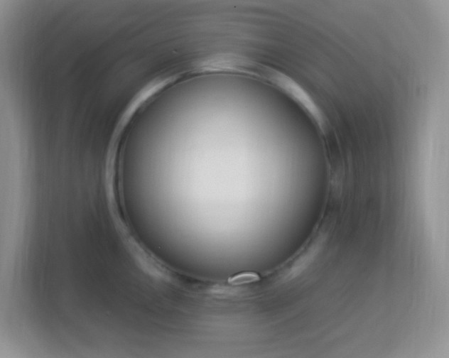 X0000113331146200909281222