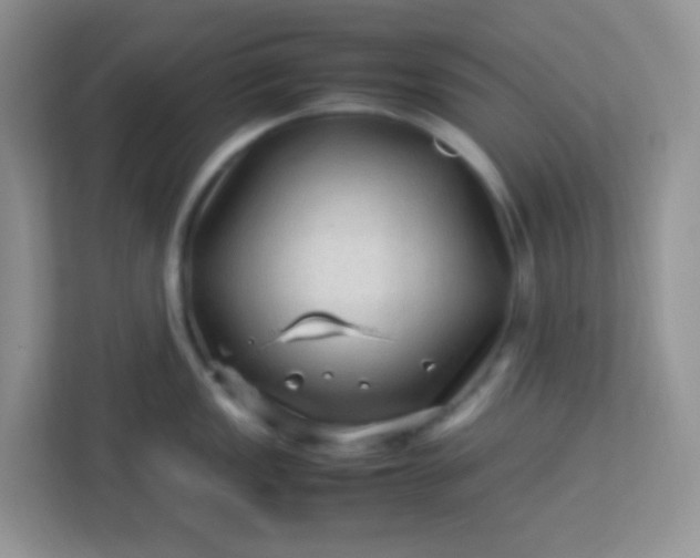 X0000113331149200909281222