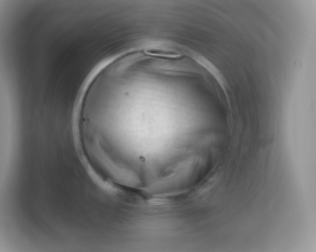 X0000113331152200909281222
