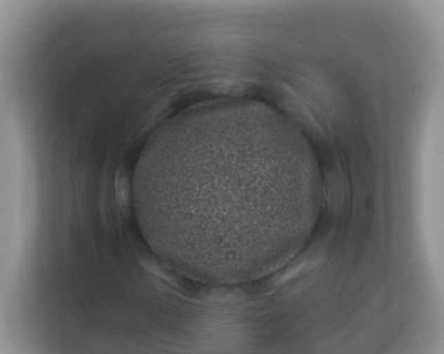 X0000113331154200909281222