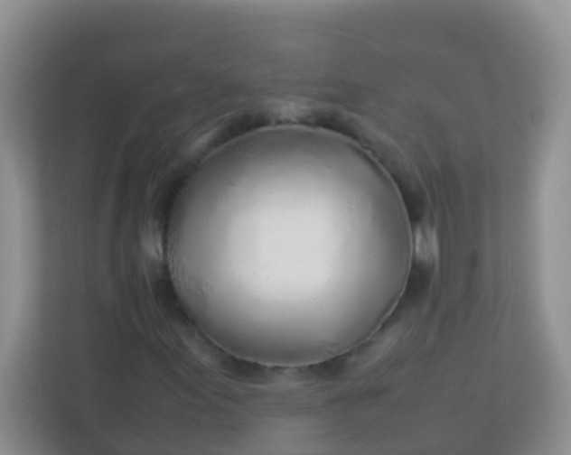 X0000113331155200909281222