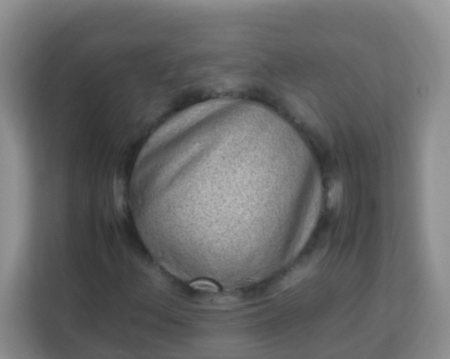 X0000113331156200909281222