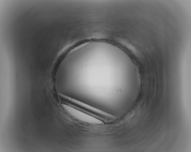 X0000113331160200909281222