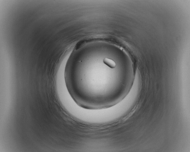 X0000113331161200909281222
