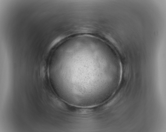 X0000113331163200909281222