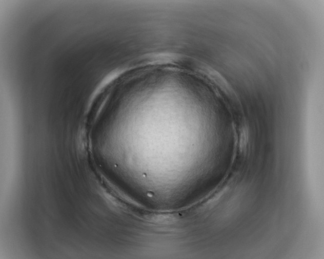X0000113331164200909281222