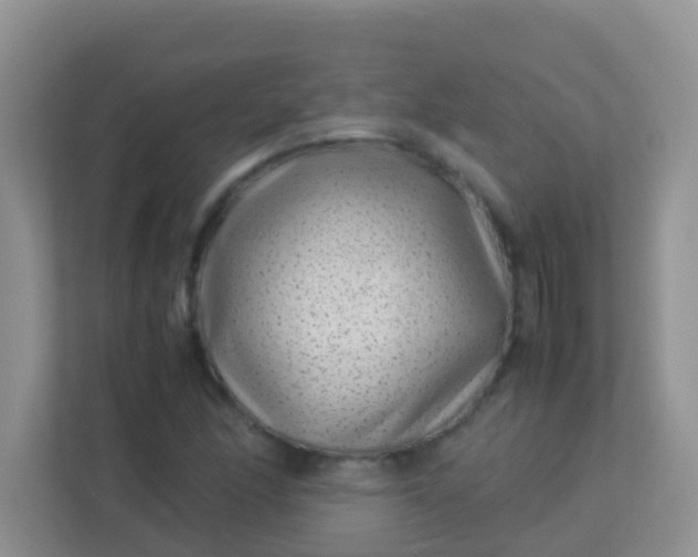 X0000113331166200909281222