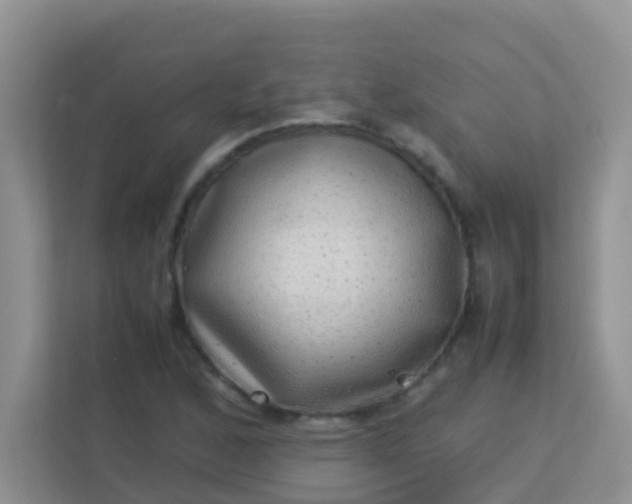 X0000113331168200909281222