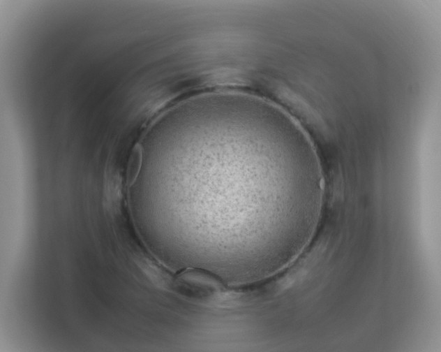 X0000113331169200909281222
