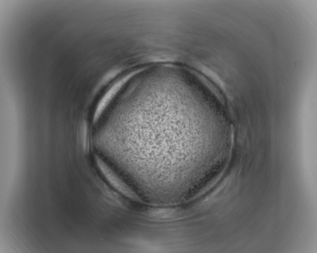 X0000113331171200909281222