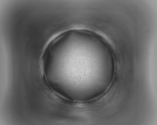X0000113331175200909281221