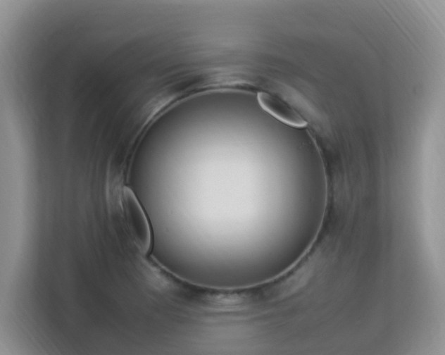 X0000113331177200909281221