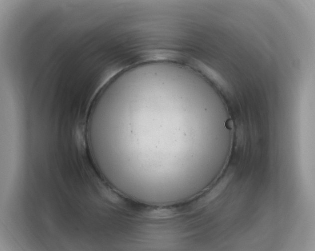 X0000113331178200909281221