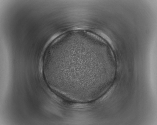 X0000113331179200909281221