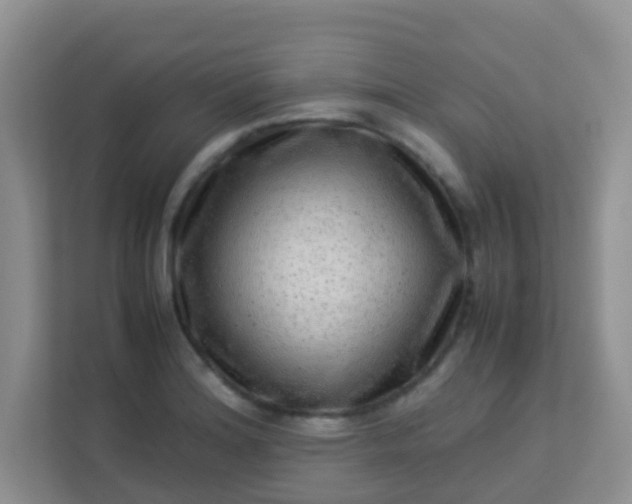 X0000113331180200909281221