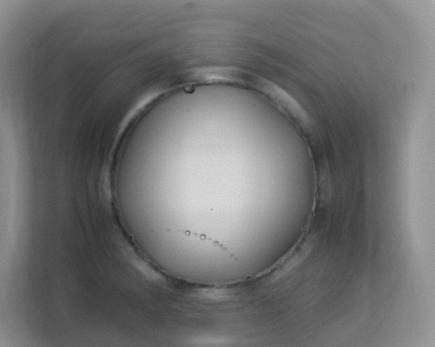X0000113331182200909281221