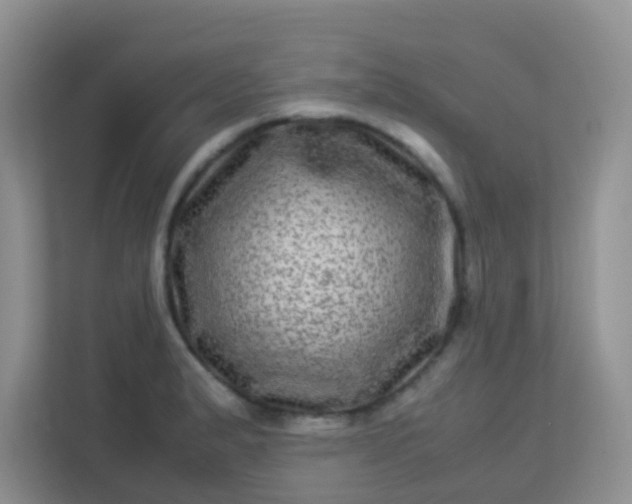 X0000113331183200909281221