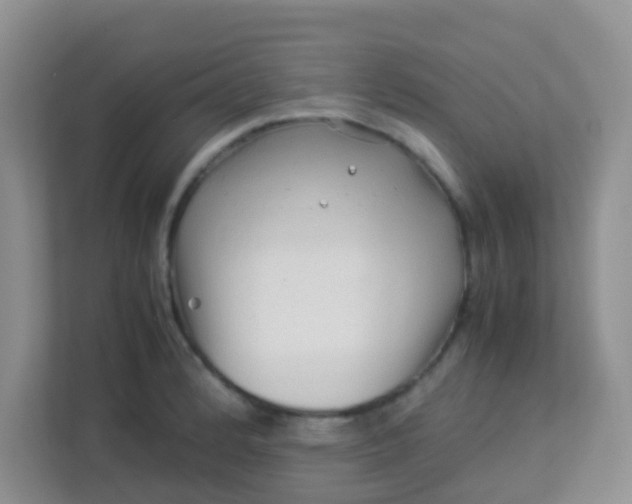 X0000113331184200909281221