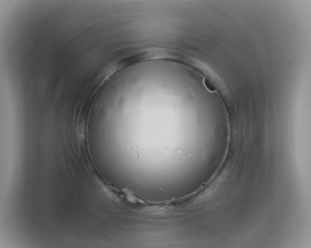X0000113331185200909281221