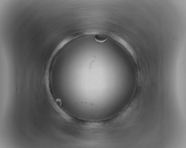 X0000113331187200909281221
