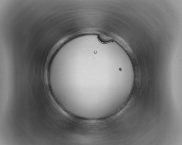 X0000113331188200909281221