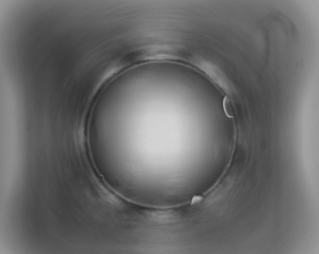 X0000113331189200909281221