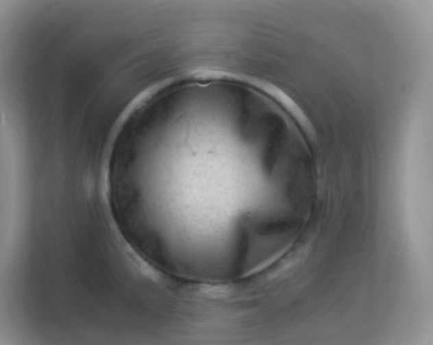 X0000113331191200909281221