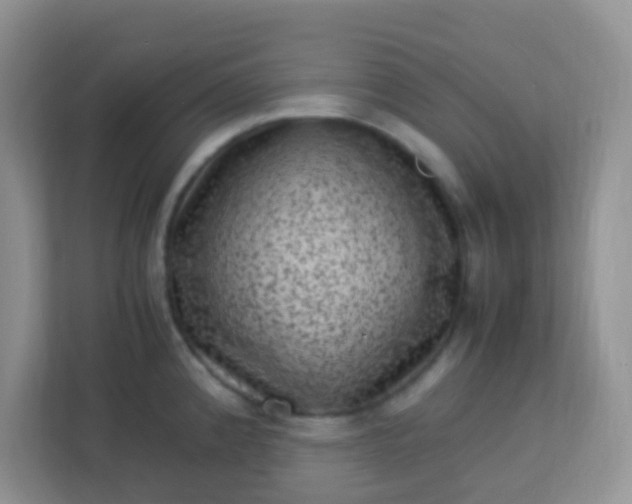 X0000113331192200909281221