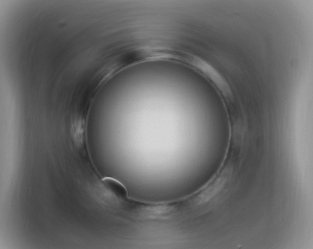 X0000113331193200909281221