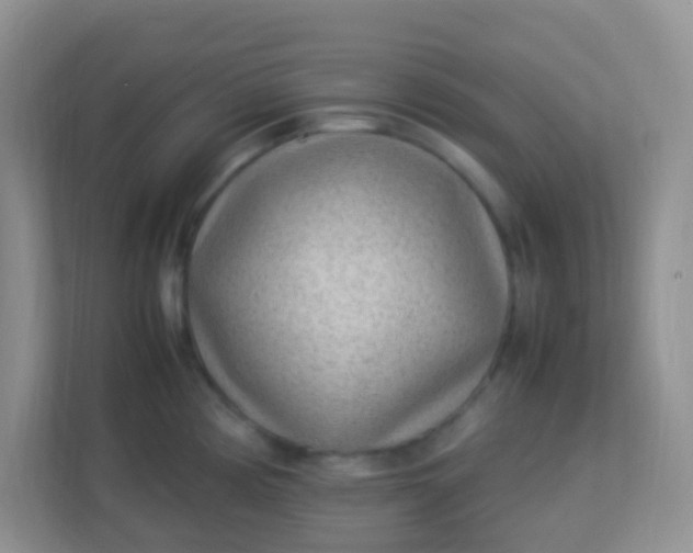 X0000113331194200909281221