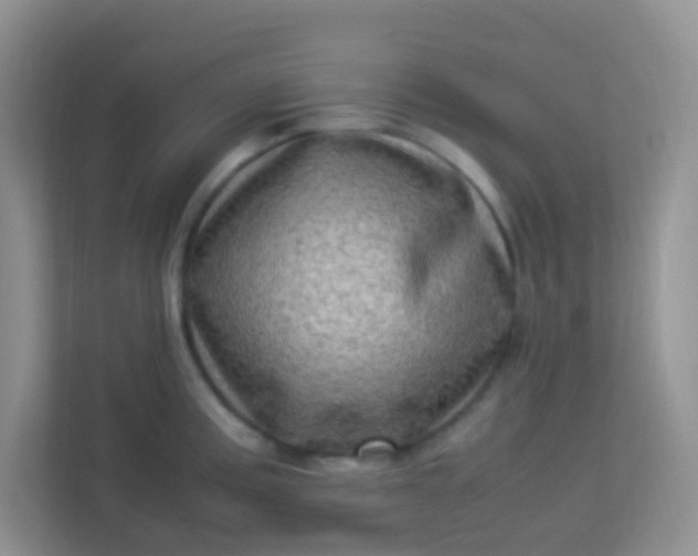 X0000113331195200909281221
