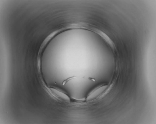X0000113331196200909281221