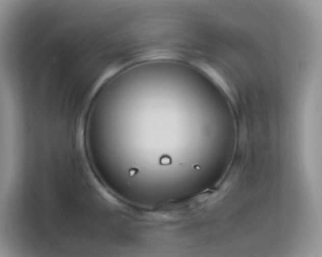 X0000113331197200909281221